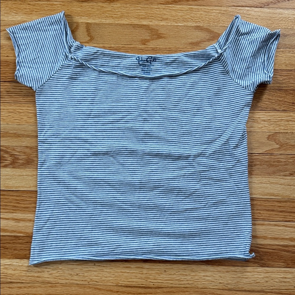 John Galt Brandy Melville Blue & White Striped Cropped Tee One Size